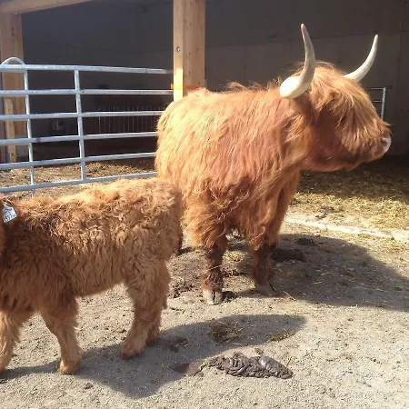 Apartament Alt Poschach