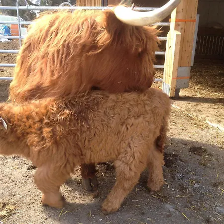 Lägenhet Alt Poschach