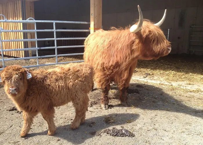 Lejlighed Alt Poschach